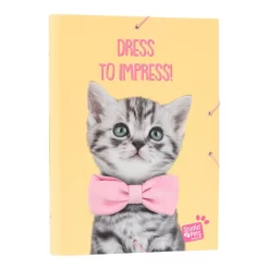 Carpeta Clasificadora Studio Pets Kittens