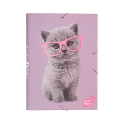 Carpeta Solapas Studio Pets Cats 2019